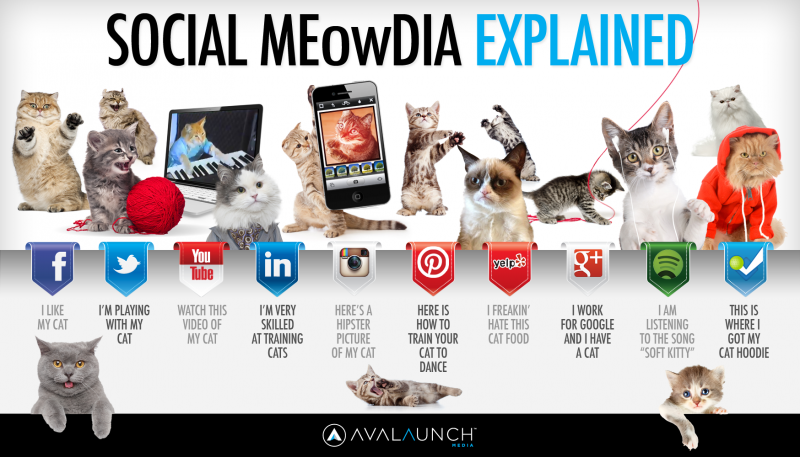 Social_Media_Explained4-800x457