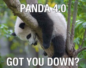 Sad Panda 4.0 Image - Search Influence