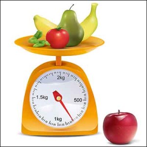 Healthy Choices Scale Image - Search Influence