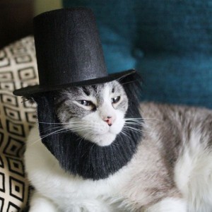 CatAbeLincolnImage