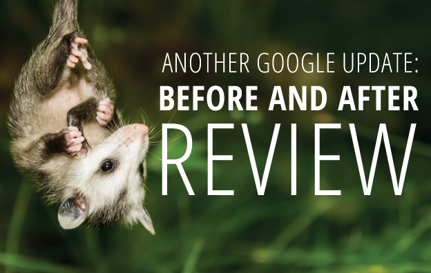 Google Possum Update