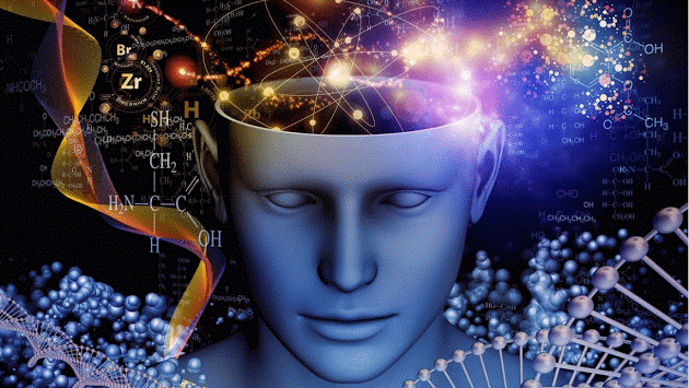 Endless Knowledge Image Of A Man With His Brain Open - Search Influence