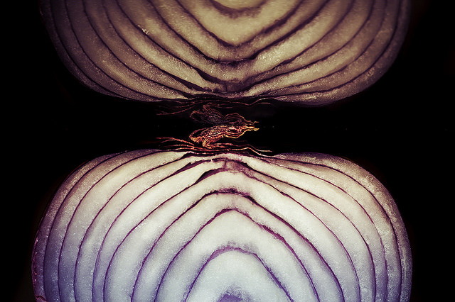Purple Onion Cut In Half - Search Influence