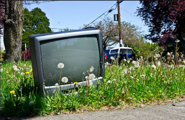Old TV sitting in weeds - Search Influence