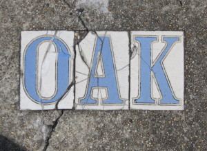 Oak Street tiles - New Orleans