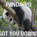 Sad Panda 4.0 Image - Search Influence