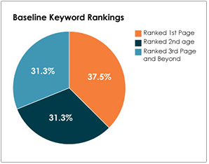 Dermatology Case Study - Baseline Keyword Rankings Chart - Search Influence