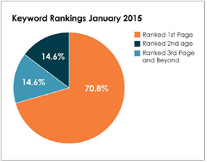 Dermatology Case Study - Keyword Rankings January 2015 Chart - Search Influence