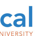 Local-U logo image - Search Influence