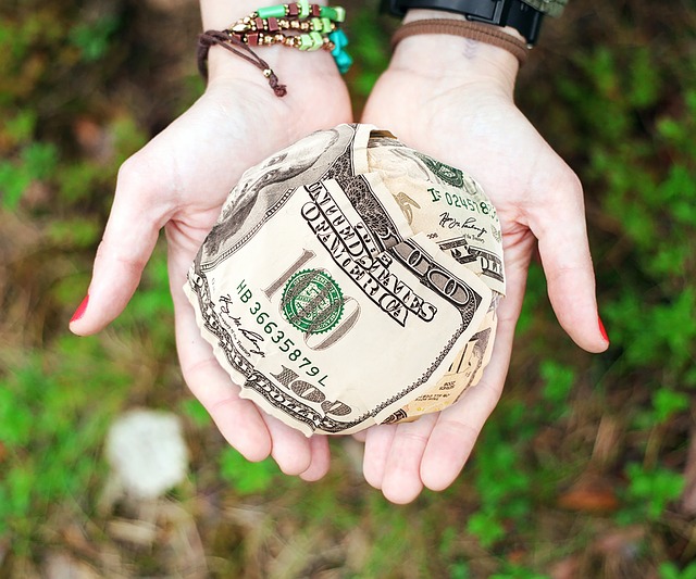 Two hands holding a ball of money - Search Influence