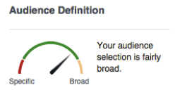 Very broad audience targeting for Facebook campaign done by Search Influence in New Orleans, LA