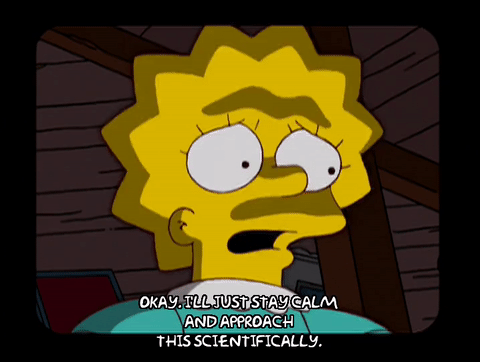 Lisa Simpson taking a scientific approach to Google algorith updates