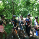 influencers shoveling dirt in city park