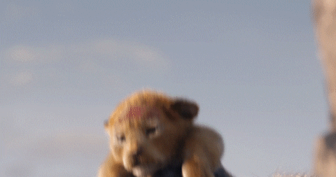 Scene from the 2019 version of The Lion King
