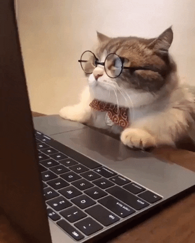 Cat wearing glasses inspecting something on their laptop